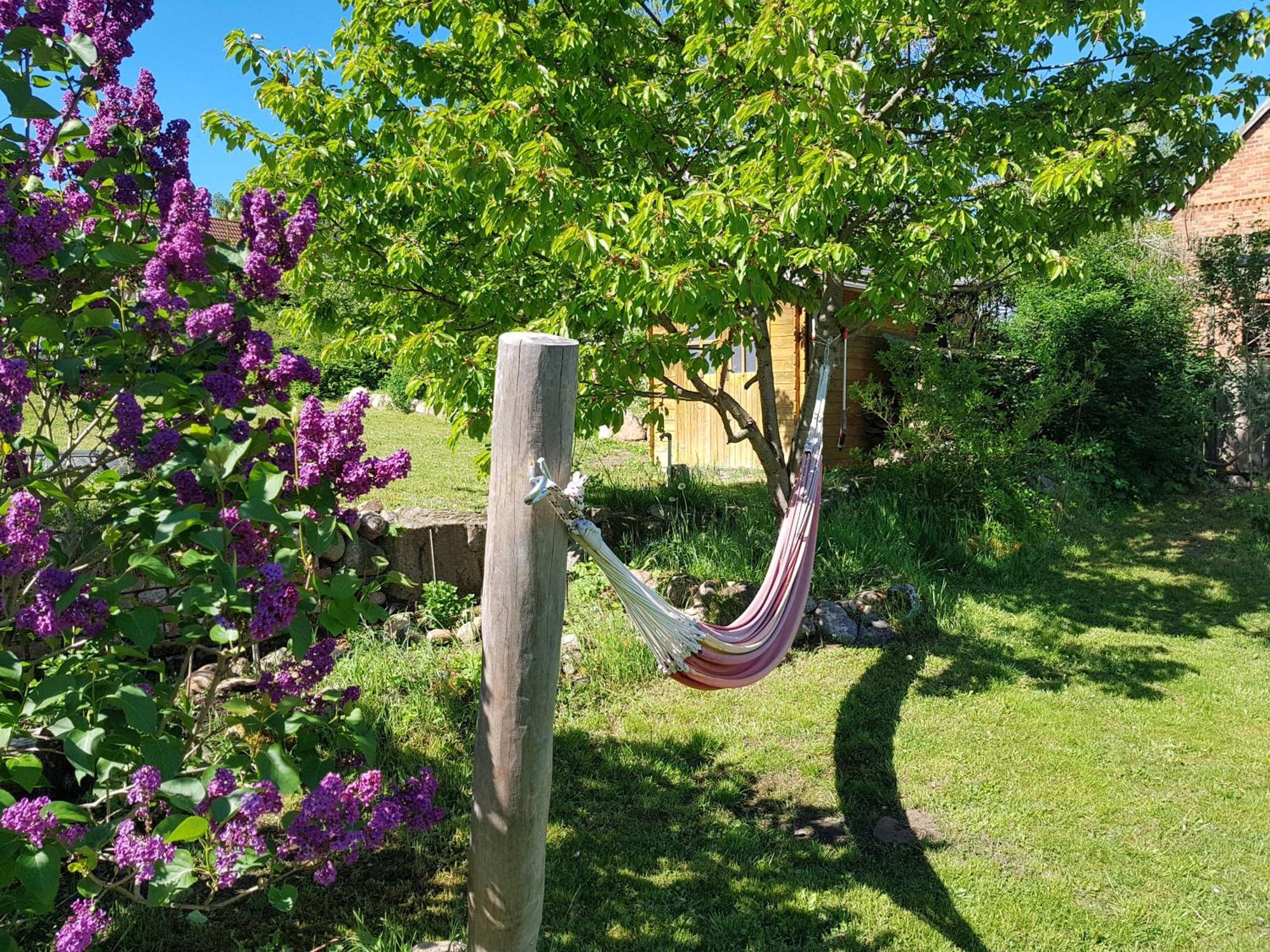 Ferienlandhaus Zempow Bagian luar foto