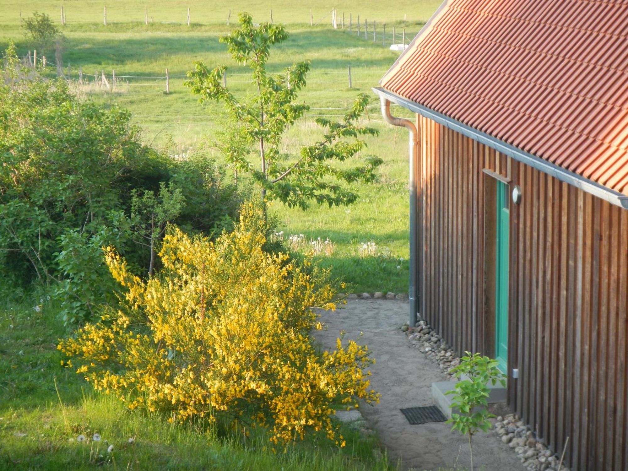 Ferienlandhaus Zempow Bagian luar foto