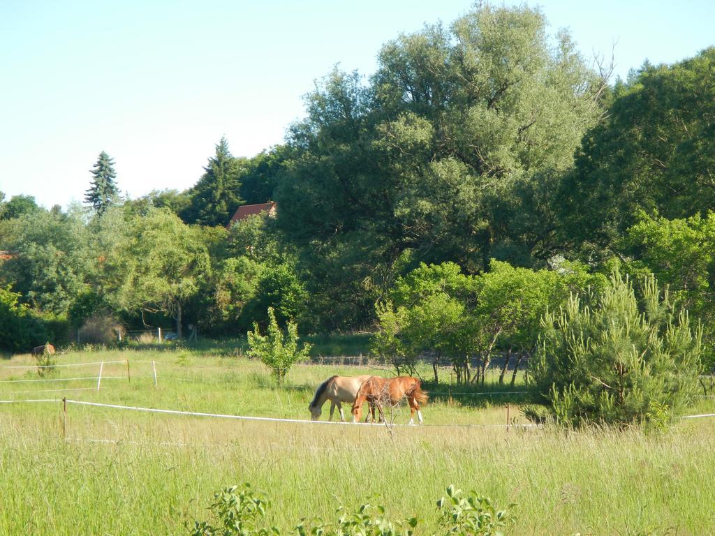 Ferienlandhaus Zempow Bagian luar foto
